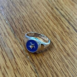 Silver Ring with Blue Enamel Turtle Design